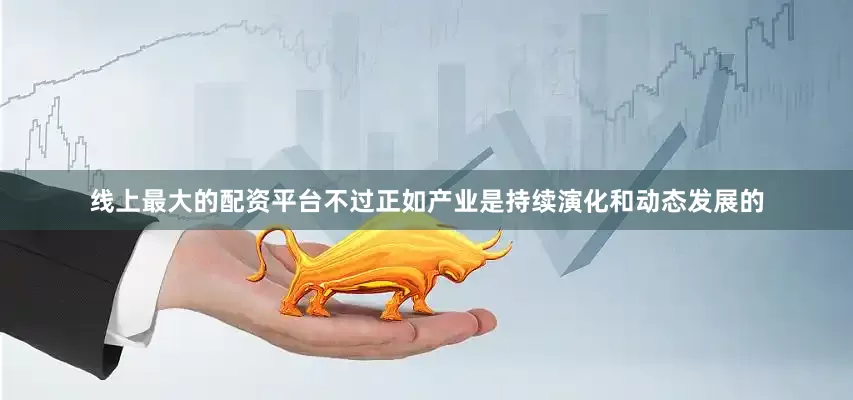 线上最大的配资平台不过正如产业是持续演化和动态发展的