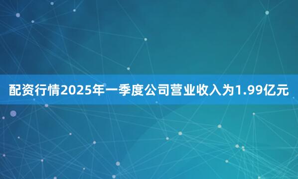 配资行情2025年一季度公司营业收入为1.99亿元
