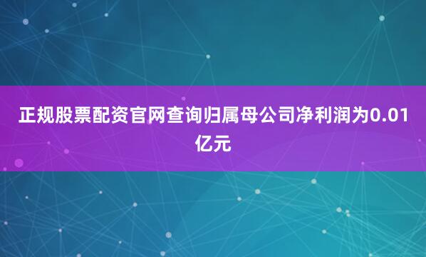 正规股票配资官网查询归属母公司净利润为0.01亿元