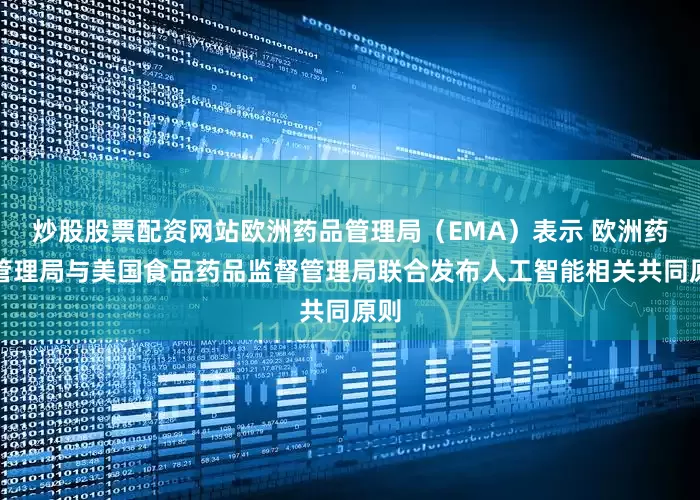 炒股股票配资网站欧洲药品管理局（EMA）表示 欧洲药品管理局与美国食品药品监督管理局联合发布人工智能相关共同原则