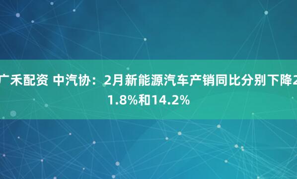 广禾配资 中汽协：2月新能源汽车产销同比分别下降21.8%和14.2%