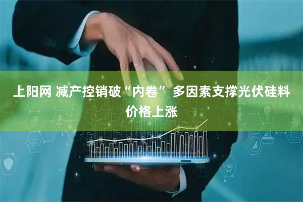 上阳网 减产控销破“内卷” 多因素支撑光伏硅料价格上涨