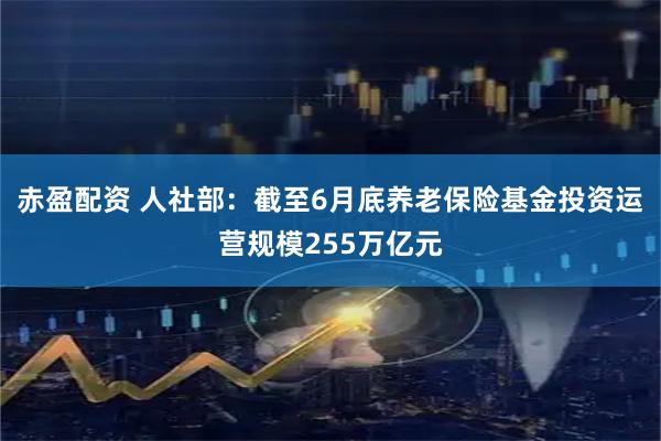 赤盈配资 人社部：截至6月底养老保险基金投资运营规模255万亿元