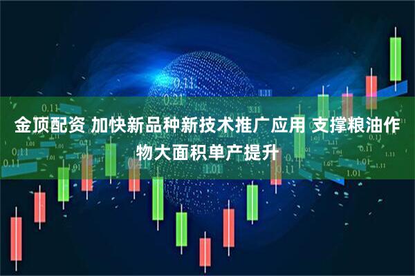 金顶配资 加快新品种新技术推广应用 支撑粮油作物大面积单产提升