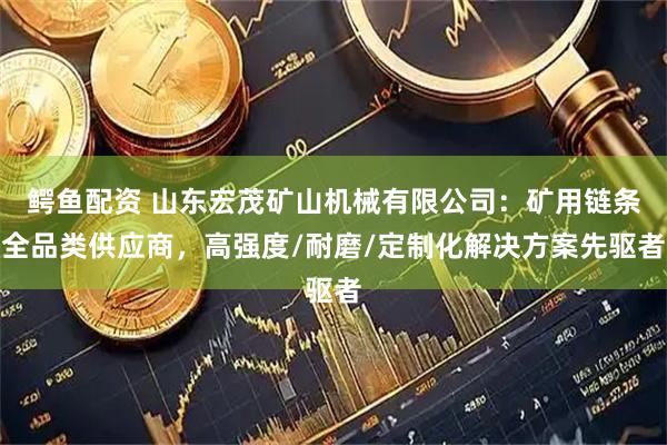 鳄鱼配资 山东宏茂矿山机械有限公司：矿用链条全品类供应商，高强度/耐磨/定制化解决方案先驱者