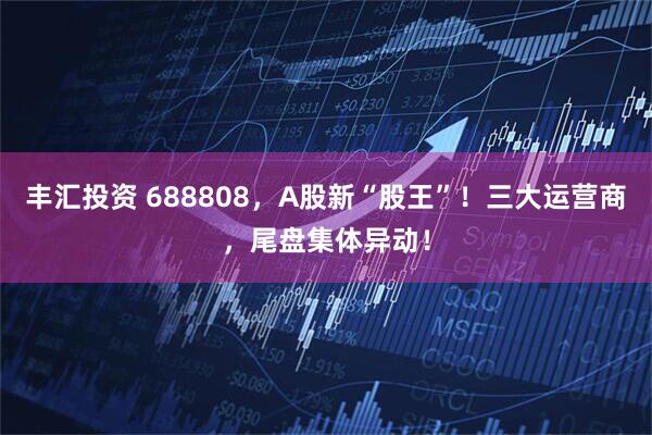 丰汇投资 688808，A股新“股王”！三大运营商，尾盘集体异动！